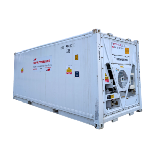 PXL_20250219_100239075.MP-Photoroom