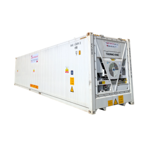 PXL_20250219_111828159.MP-Photoroom